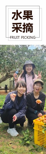蔬果採摘
